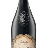 31327 salento rosso passito (002)