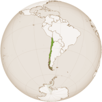 Weine aus Chile